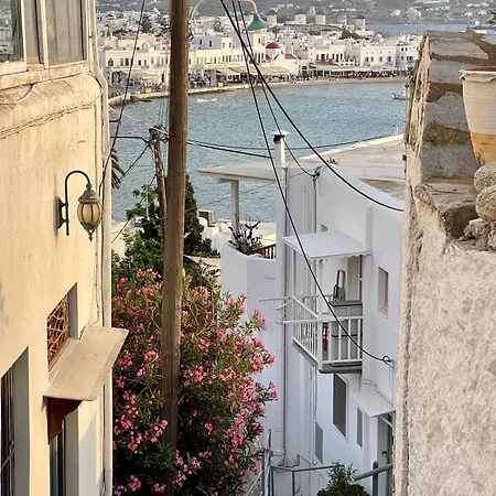別荘 Mikele Mykonos Sea View -kalypso-